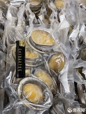 鮮凍鮑魚 社區(qū)團(tuán)購與電商平臺的新爆款