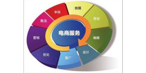 上海品牌電子商務服務的真實性與可行性分析