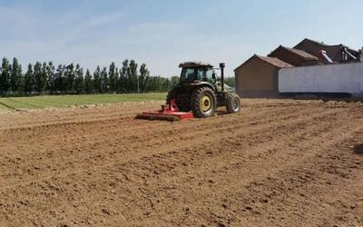 九戶鎮 小土地增減掛鉤項目有序推進，優化土地利用格局