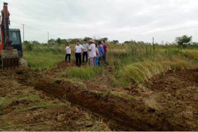 肥東縣馬湖鄉 以土地整理為筆，繪就鄉村振興新畫卷